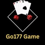 Go177 Game
